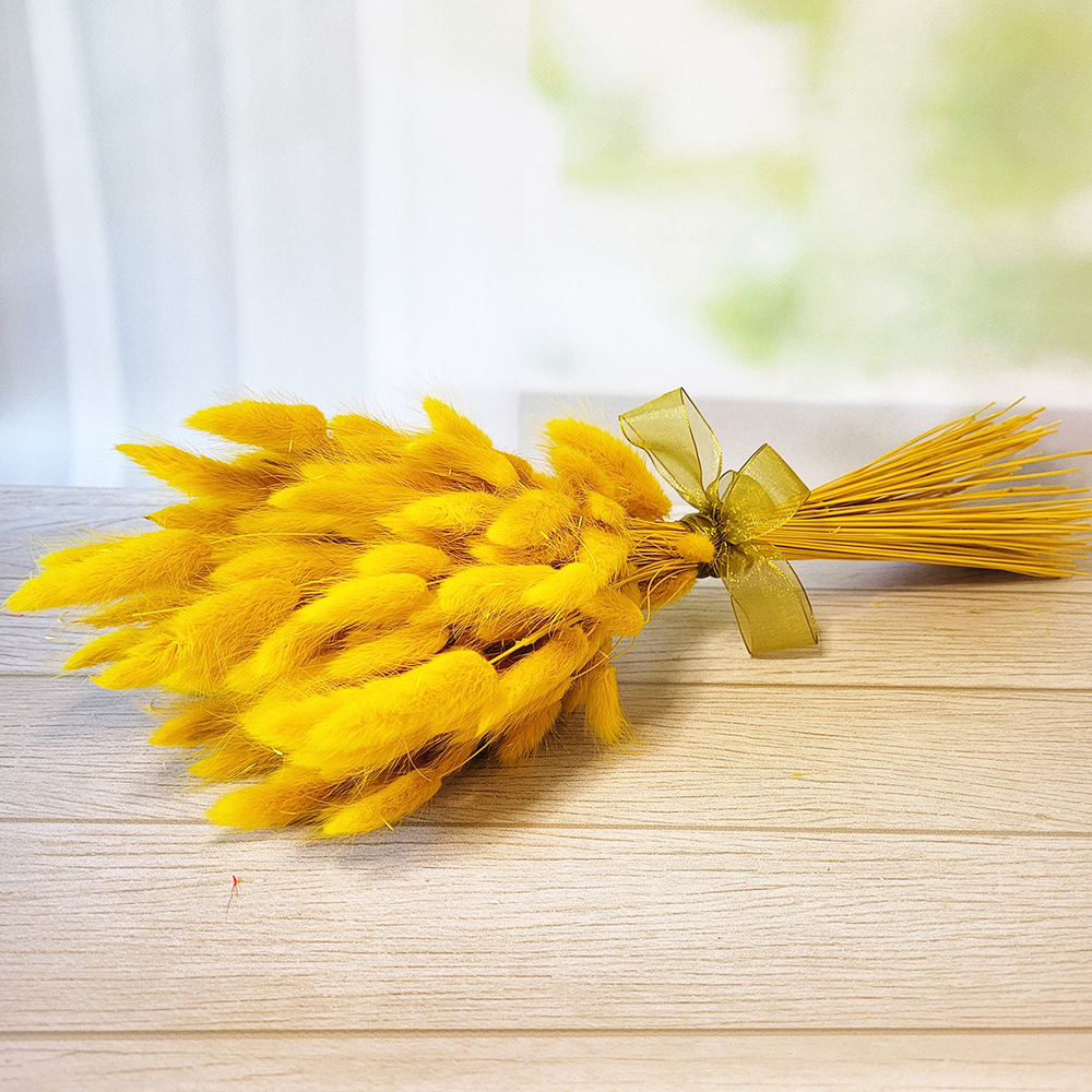 Букет сухоцветов из лагуруса желтого