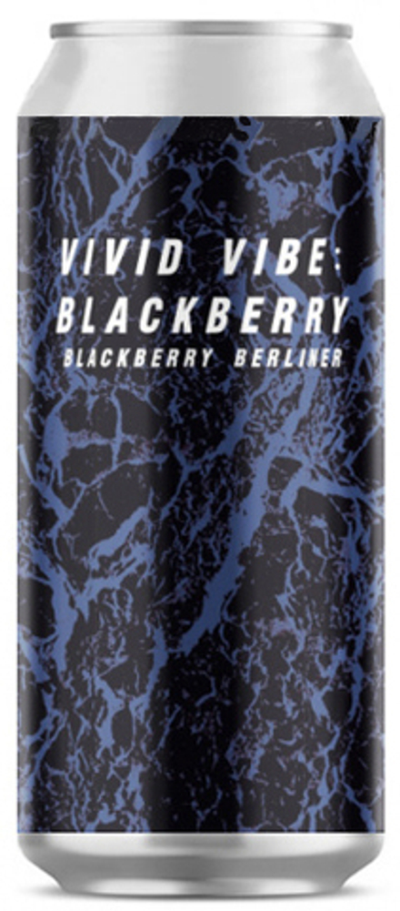 Пиво Плейг Вайвид Вайб Блэкберри / Plague Vivid Vibe Blackberry 0.45 - банка