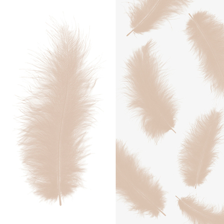 Перья шампань 30 шт