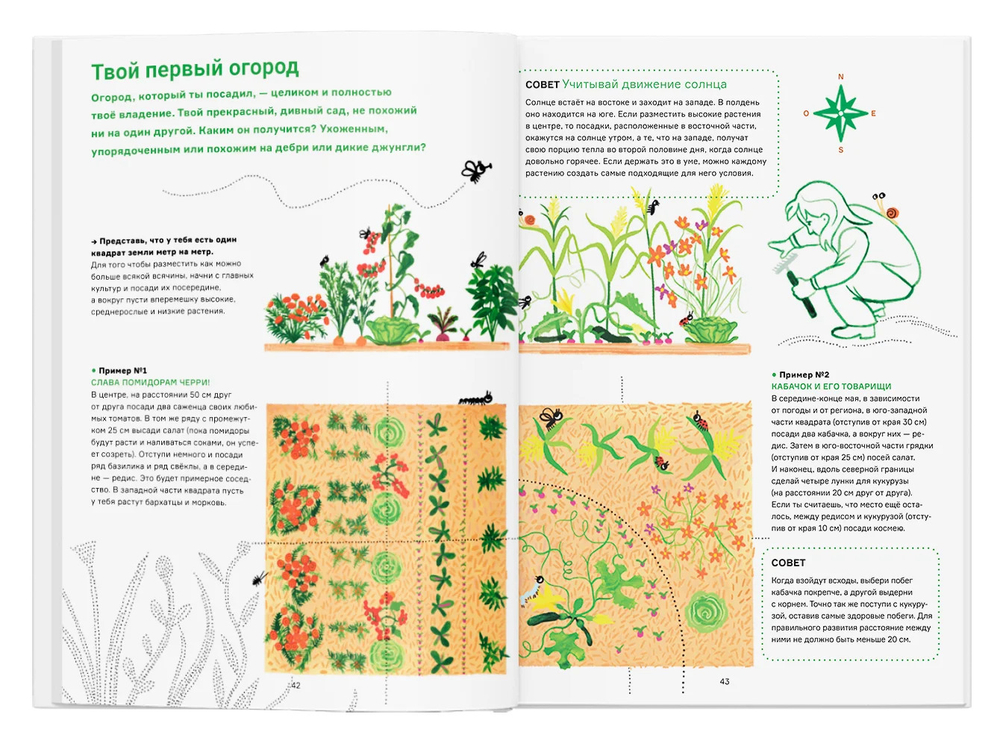 Сад круглый год. Что такое пермакультура