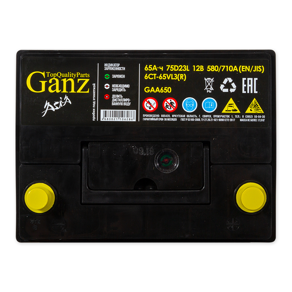 Аккумулятор GANZ ASIA 65 А/ч обратный R+ 232x175x225 D23 EN 580 А