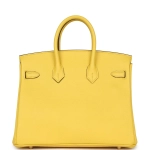 Сумка из коллекции D с золотой фурнитурой Hermès Birkin