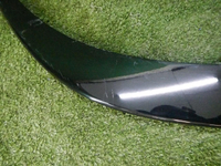 DSCN6806.jpg