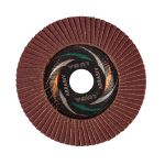 ЛУГА Диск лепестковый по металлу Р80 125х22мм ---