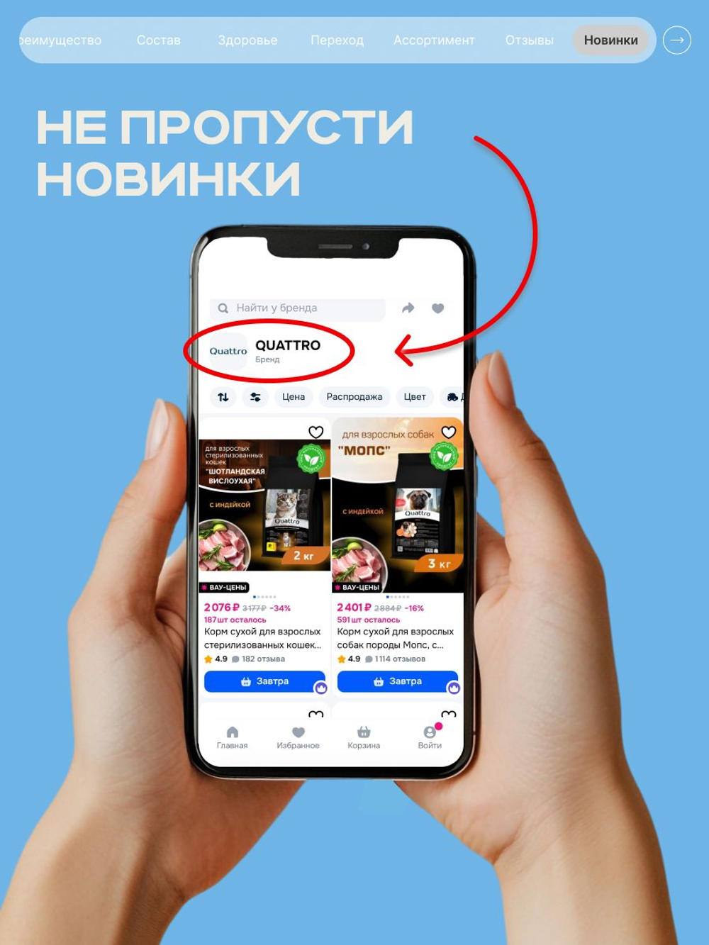 Корм сухой для взрослых кошек породы Шотландская вислоухая, с лососем, 400 гр, QUATTRO