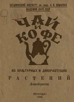 Чай и кофе из культурных и дикорастущих растений Ленобласти | Нет автора