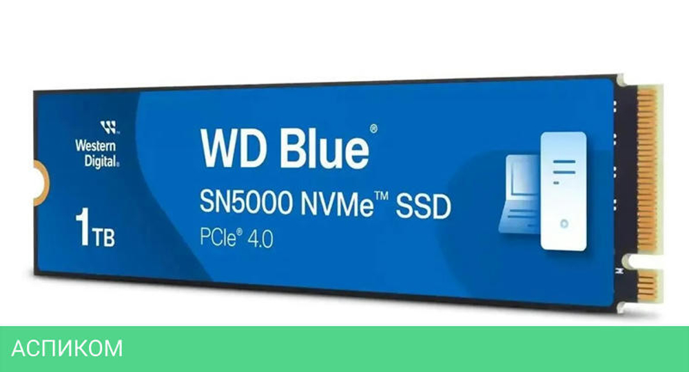 SSD диск WD Blue SN5000 1Tb (WDS100T4B0E)