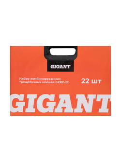 Набор комбинированных трещоточных ключей Gigant в пластиковом кейсе 22 шт GKRC-22