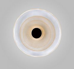 Накладной светильник Aployt Stusia APL.350.01.03