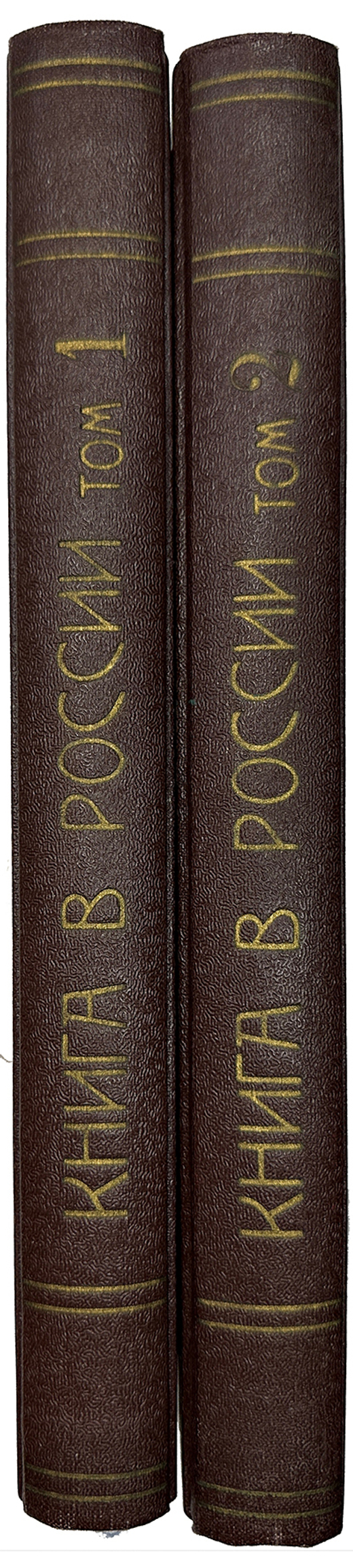 Книга в России: в 2 частях, 2-х кн. М., Госиздат, 1924-1925 г.г.