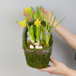 Композиция с первоцветами Лесная корзина S