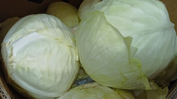 Свежие овощи и фрукты