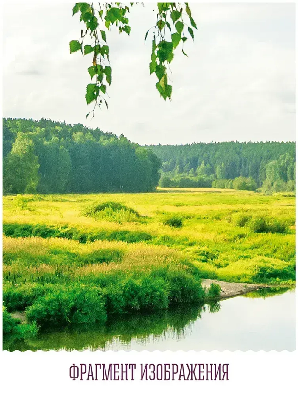 Топ Фотообои / Открытое окно с видом на лес и реку / 3д флизелиновые вертикальные на стену в комнату / 150х129