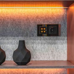 Розетка акустическая без рамки Werkel черный матовый W1185008