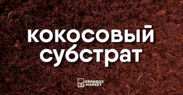 Кокосовый субстрат: специфика и нюансы применения