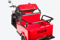 Электротрицикл Wanshida LC-F200 (1000Вт, 60B)