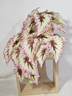 Искусственная Бегония розовая 40см в кашпо