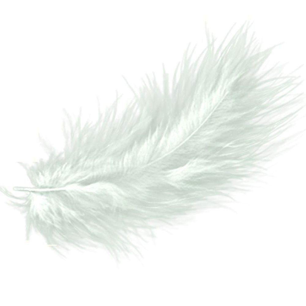Перья Белые / 30 шт.