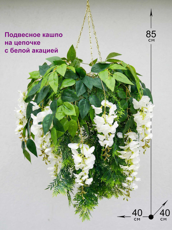 Акация белая 7 цветков в подвесном белом кашпо на цепочке