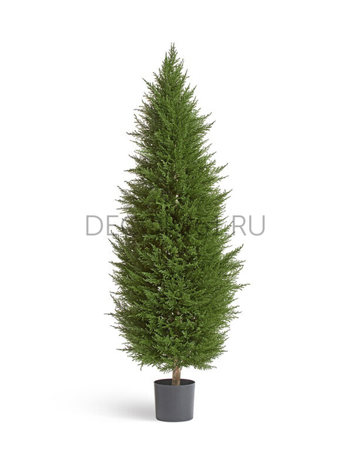 Кипарис Тауэр Элегант уличный новый в-90 см 2/2 10.56103N