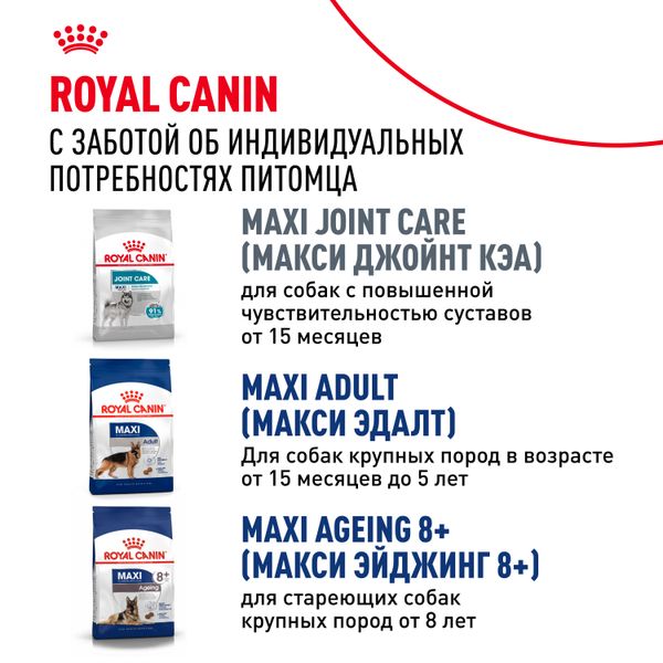 Уценка! Срок 05.07.26/ Сухой корм Royal Canin Maxi Adult 5+ для взрослых собак крупных размеров от 5 лет до 8 лет