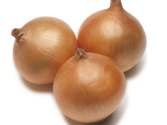 Рекс F1 семена лука репчатого (Takii / Таки)