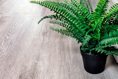 Кварцвиниловая плитка Alpine Floor Classic ECO 134-5 Ясень серый