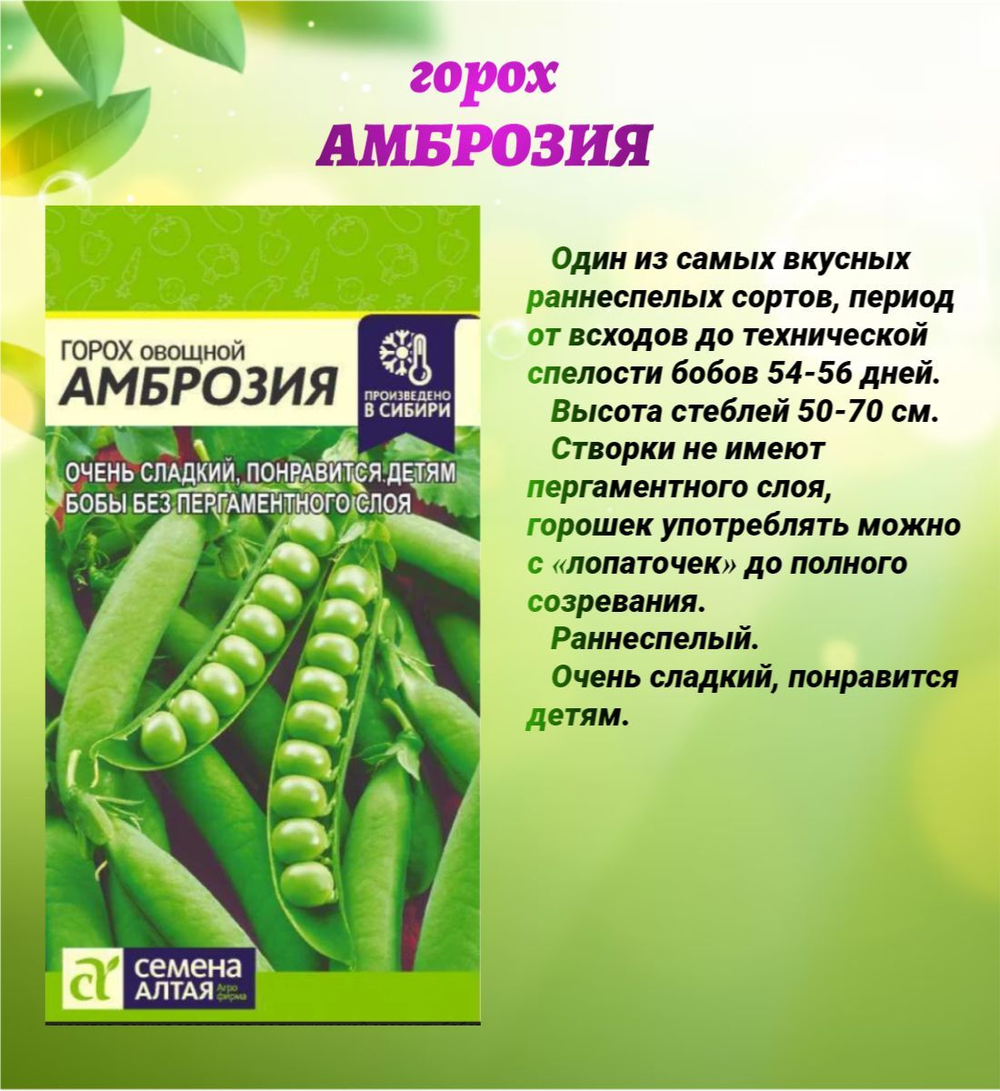 Набор семян бобовых культур: фасоль и горох.