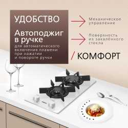 Газовая панель Hansa BHKW330300