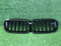 Решетка радиатора BMW M5 F90 (2020-2024)