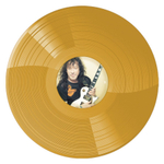 Владимир Кузьмин / Небесное Притяжение (Coloured Vinyl)(LP)