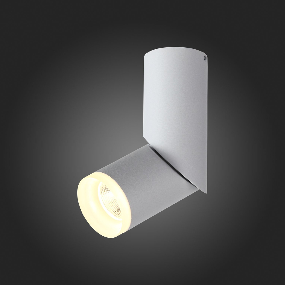 ST107.502.10 Светильник потолочный Белый LED 1*10W 3000K 780Lm Ra&gt;80  D50xH168 170-240V Накладные светильники