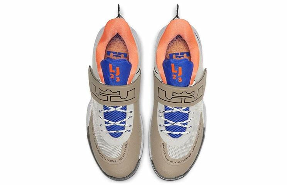 Кроссовки Nike Ambassador 12 Lebron "Mowabb"