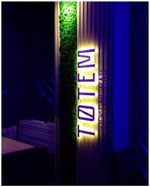 Панно из мха Ягель с подсветкой