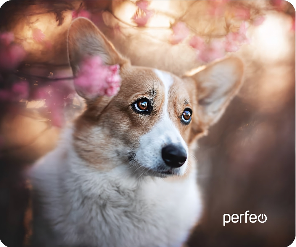 Perfeo Коврик для компьютерной мыши "Dog", Рис.10 (240*200*2 мм), ткань+резиновое основание