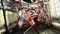 PS3 Devil May Cry HD Collection (Новый, Английская версия, BLES-01228)