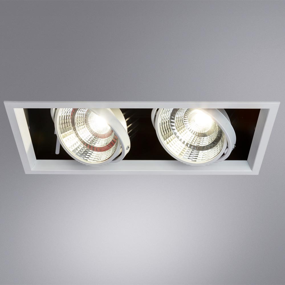 Встраиваемый светильник Arte Lamp A8450PL-2WH