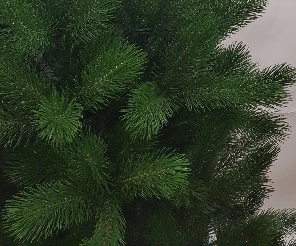 Сосна Царь елка Триумфальная 180 см ТМ-180