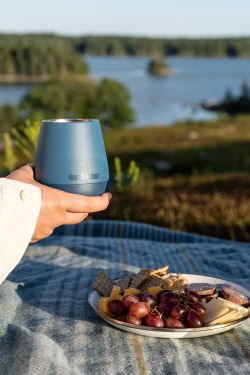 Термостакан Klean Kanteen Rise Wine Tumbler 10oz (280 мл) Stellar