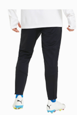 Штаны Puma individualFINAL Training