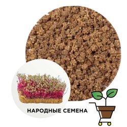 свекла красный луч