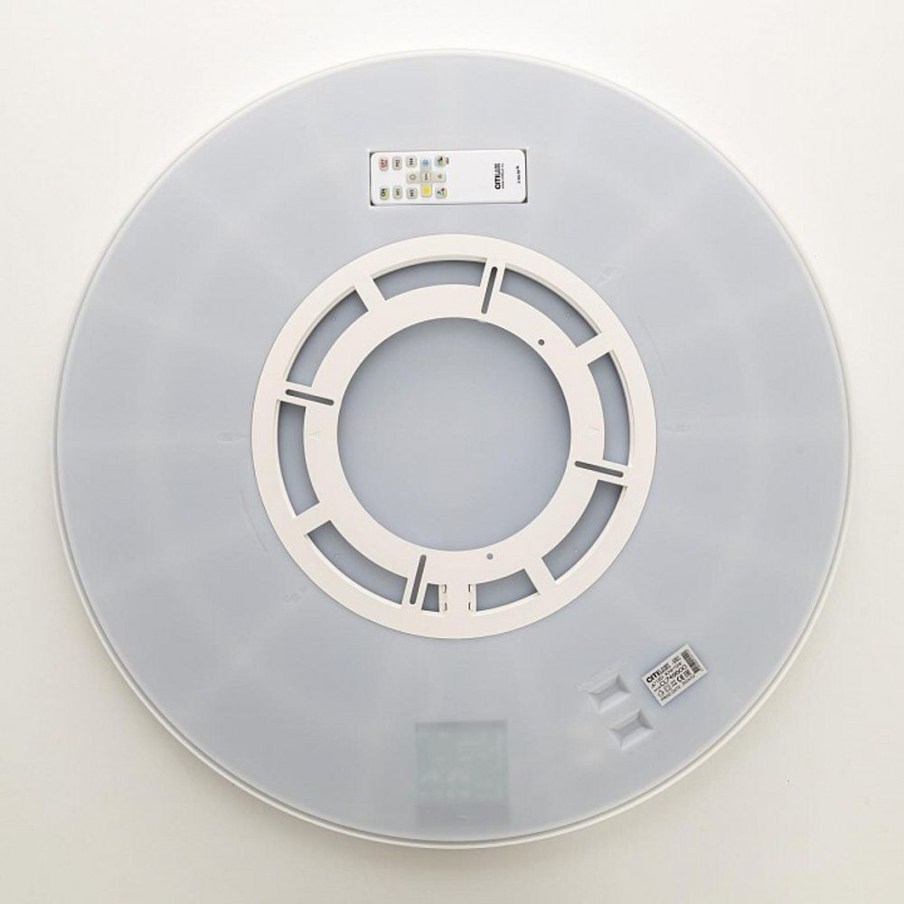 Накладной светильник Citilux NORMA CL749600