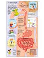 Секреты человека. New