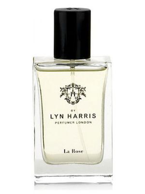 Marks and Spencer Lyn Harris La Rose