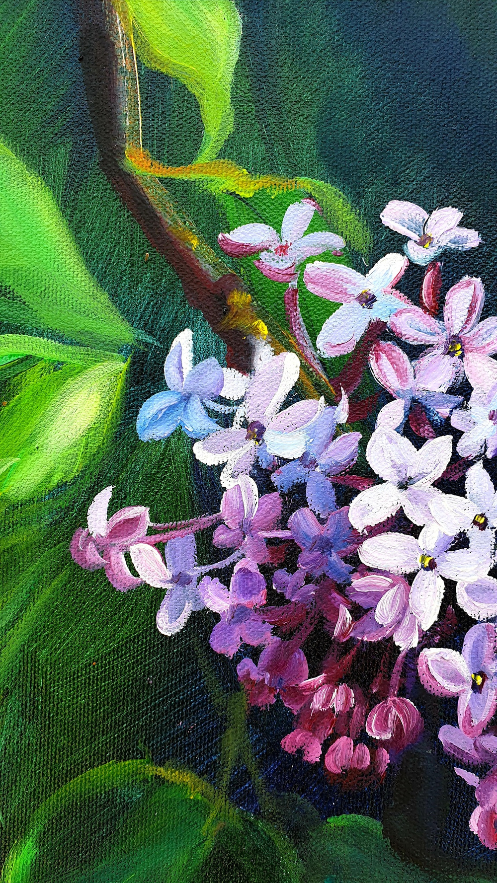 Сирень