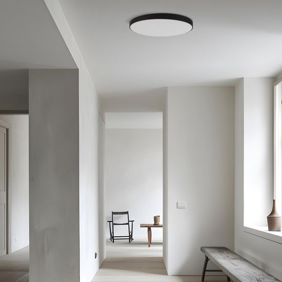 SLE6011-702-80 Светильник потолочный ST-Luce серебристый/белый LED 1*60W 3000K/4200K/6500K ESPA