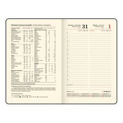 Ежедневник датированный А6 BRAUBERG "Iguana" (117252) 10