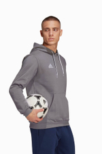 Кофта adidas Entrada 22 Sweat