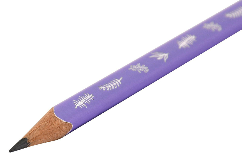 Карандаш ч/г НВ "V-Type pastel" корпус дерев. заточ.трехгран, 6 диз. принт на корп. тубус, (LOREX)