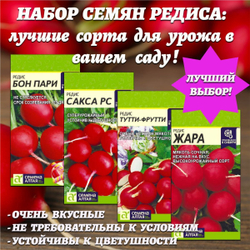Набор семян редиса: лучшие сорта для урожая в вашем саду. Семена Алтая